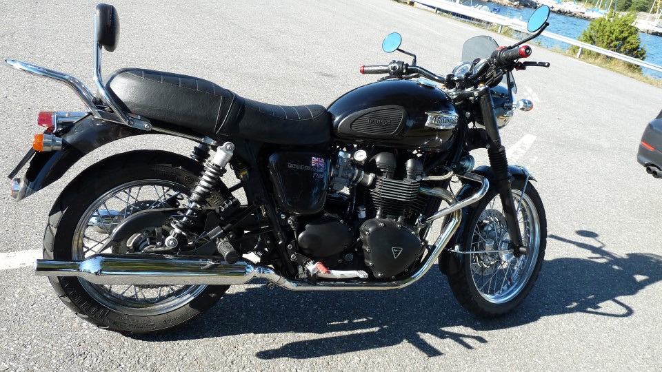 Blaze_Halteraufnahme_an_Bonneville