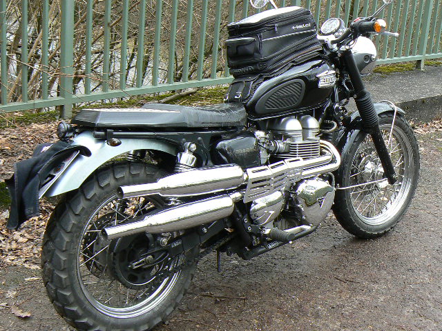 Bonnie-Scrambler