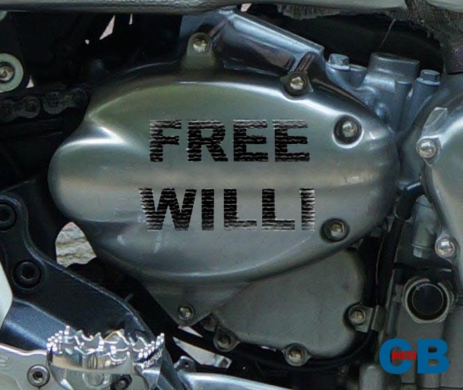 Free Willi