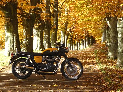 Herbst 2