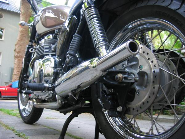 Aktueller Stand Oppa-Bonnie