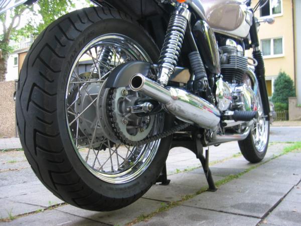 Aktueller Stand Oppa-Bonnie