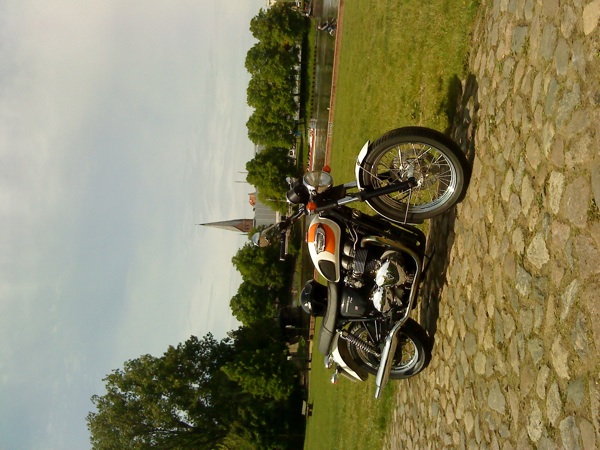 Bonni 2005