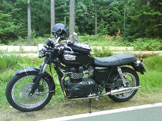 Meine kleine Bonni im Juni 08