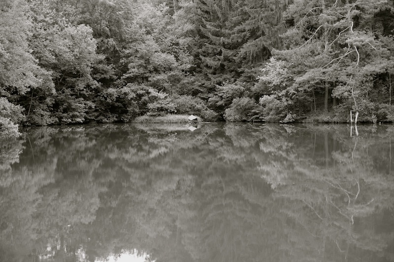 Teich