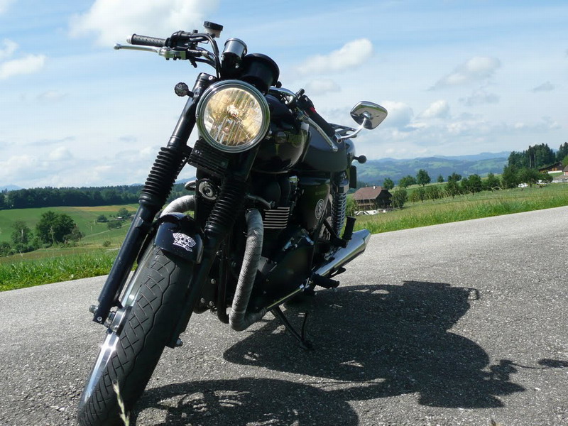 Hinterländers Bonnie