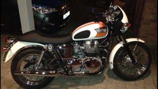 Mein "Schatz" Bonni opal white/orange