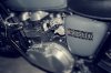 Thunderfrank (4)
